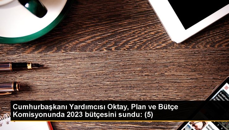 Cumhurbaşkanı Yardımcısı Oktay, Plan ve Bütçe Komitesinde 2023 bütçesini sundu: (5)