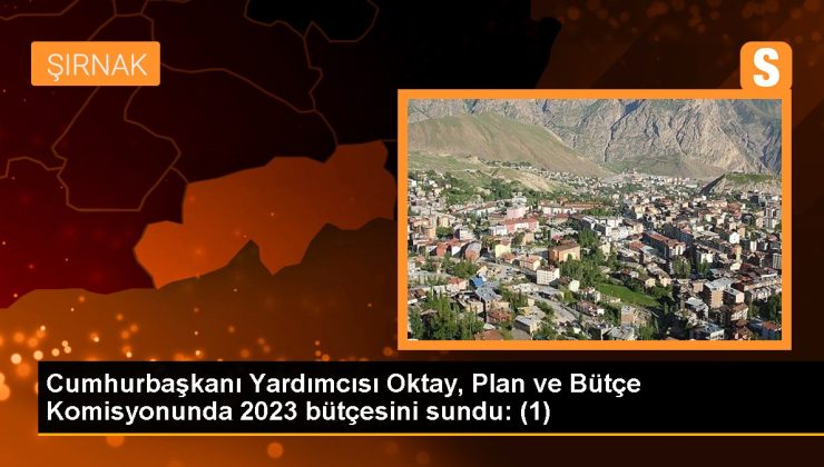 Cumhurbaşkanı Yardımcısı Oktay, Plan ve Bütçe Kurulunda 2023 bütçesini sundu: (1)