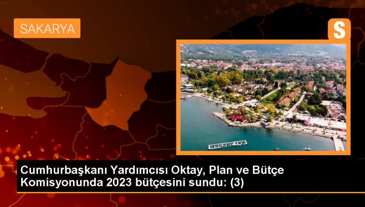 Cumhurbaşkanı Yardımcısı Oktay, Plan ve Bütçe Kurulunda 2023 bütçesini sundu: (3)