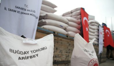 Sakarya’da 512 çiftçiye 100 ton yerli buğday tohumu dağıtıldı