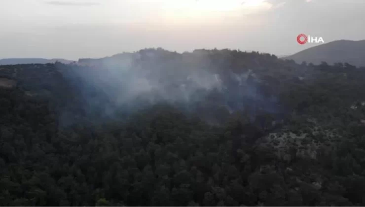 Çanakkale’deki orman yangınına günün ilk ışıklarıyla hava müdahalesi başladı