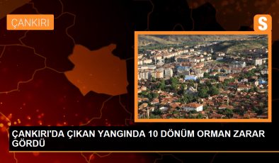 Çankırı’da çıkan yangında 10 dönüm orman zarar gördü