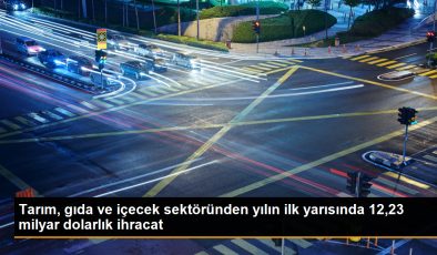 Tarım, gıda ve içecek sektöründen yılın ilk yarısında 12,23 milyar dolarlık ihracat