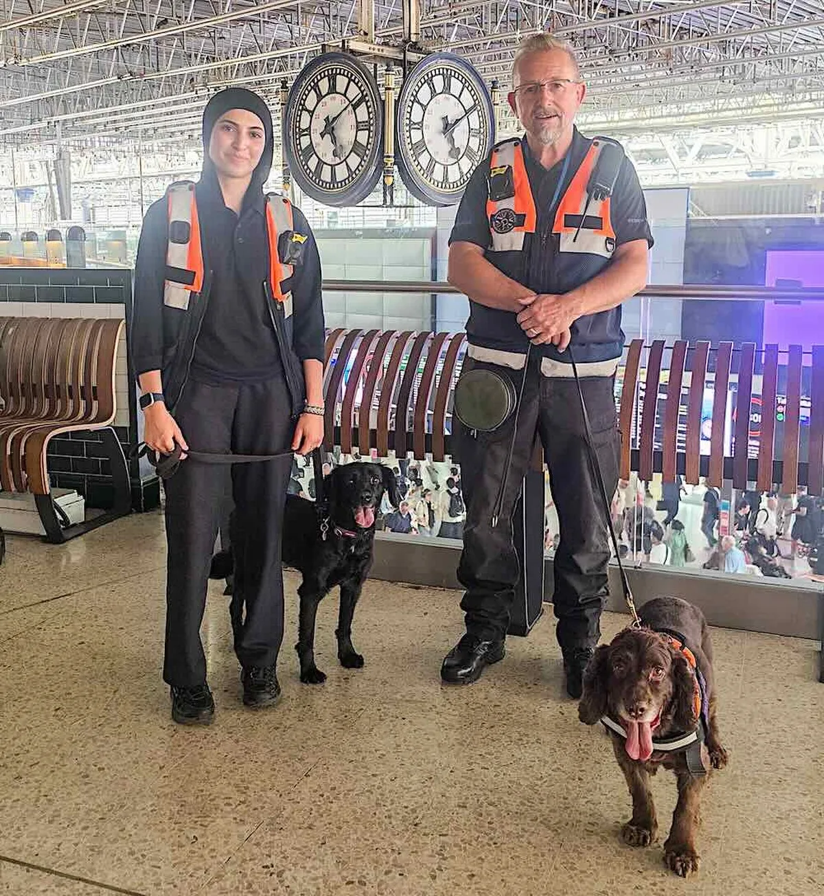 İngiltere’de İlk: Köpekler, Londra’nın Yoğun Tren İstasyonunda Güvenlik ve Huzur Sağlıyor