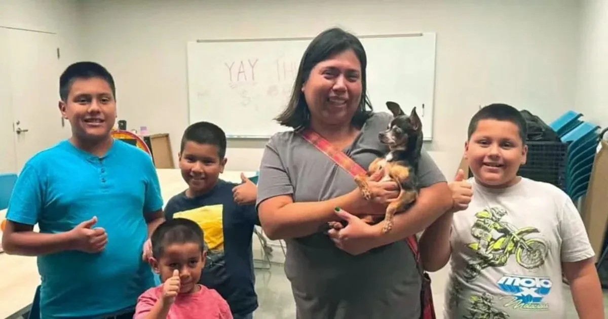 12 Yıl Sonra Kayıp Köpek, Chicago Ailesiyle Yeniden Birleşti