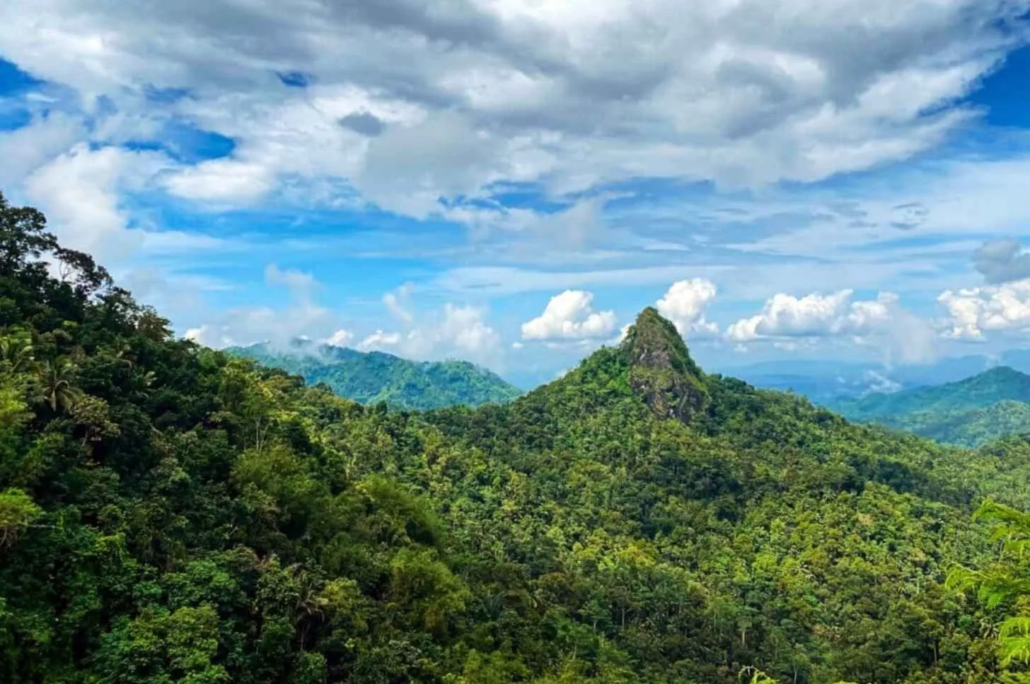 The Menoreh Hills landscape serves as a habitat for hundreds of bird species, including critically endangered ones like the Javan blue-banded kingfisher. Courtesy of Kanopi Indonesia Foundation.