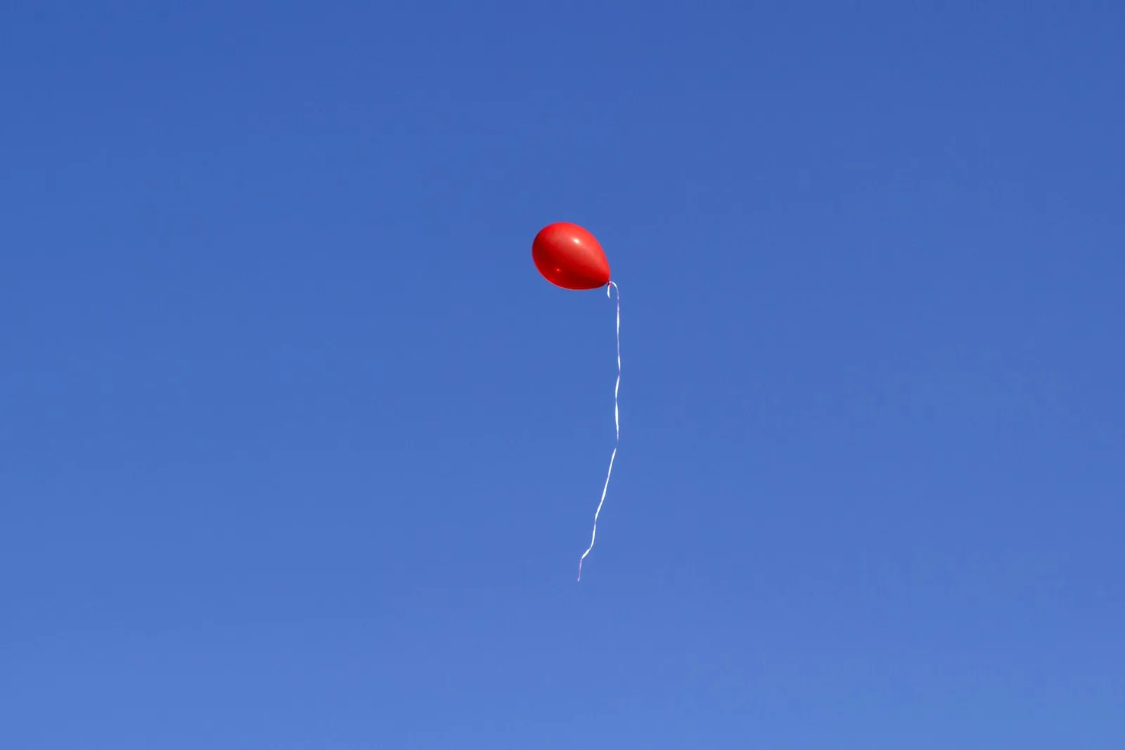 Meet the Bioloon: the biodegradable balloon aiming for shelves by 2028