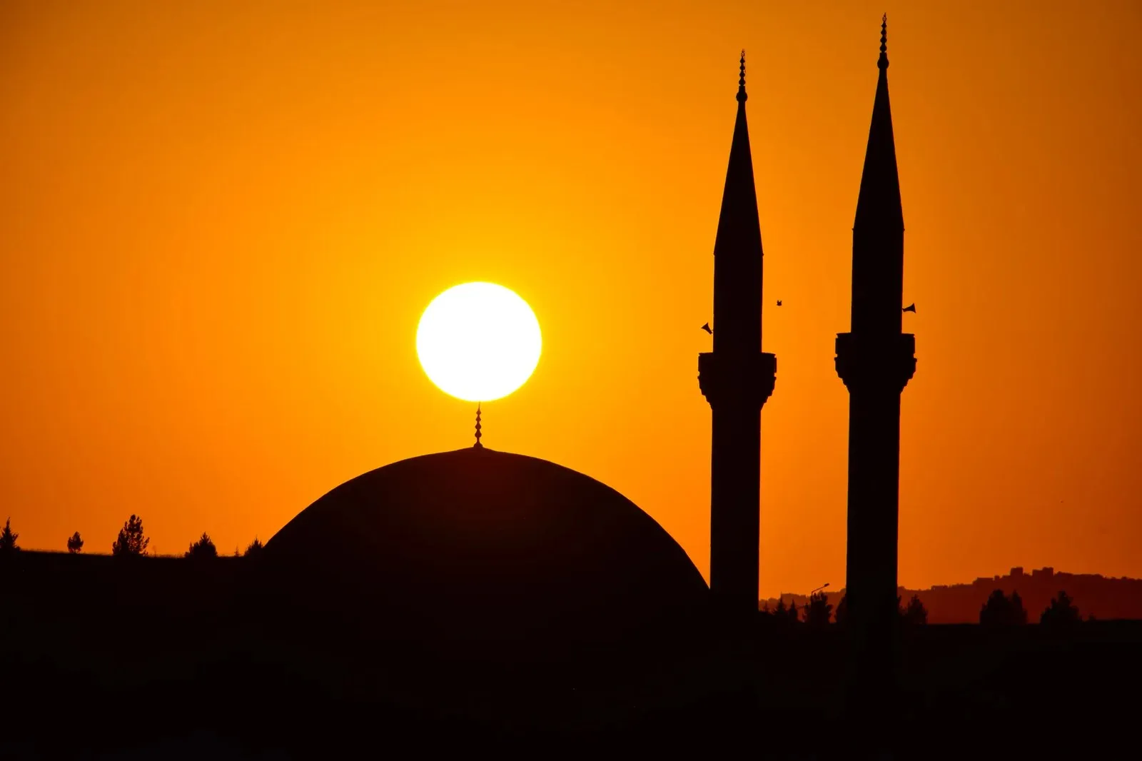 Mısır’da Güneş Panellerinin Altında Çoğalan Tarım: Agrivoltaik Sistemin Teknik ve Ekolojik Analizi