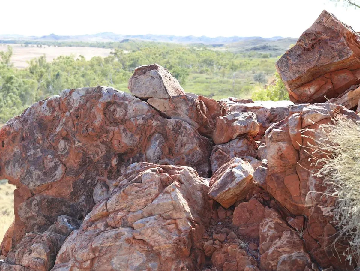 Red rocks in close up in a green landscape.