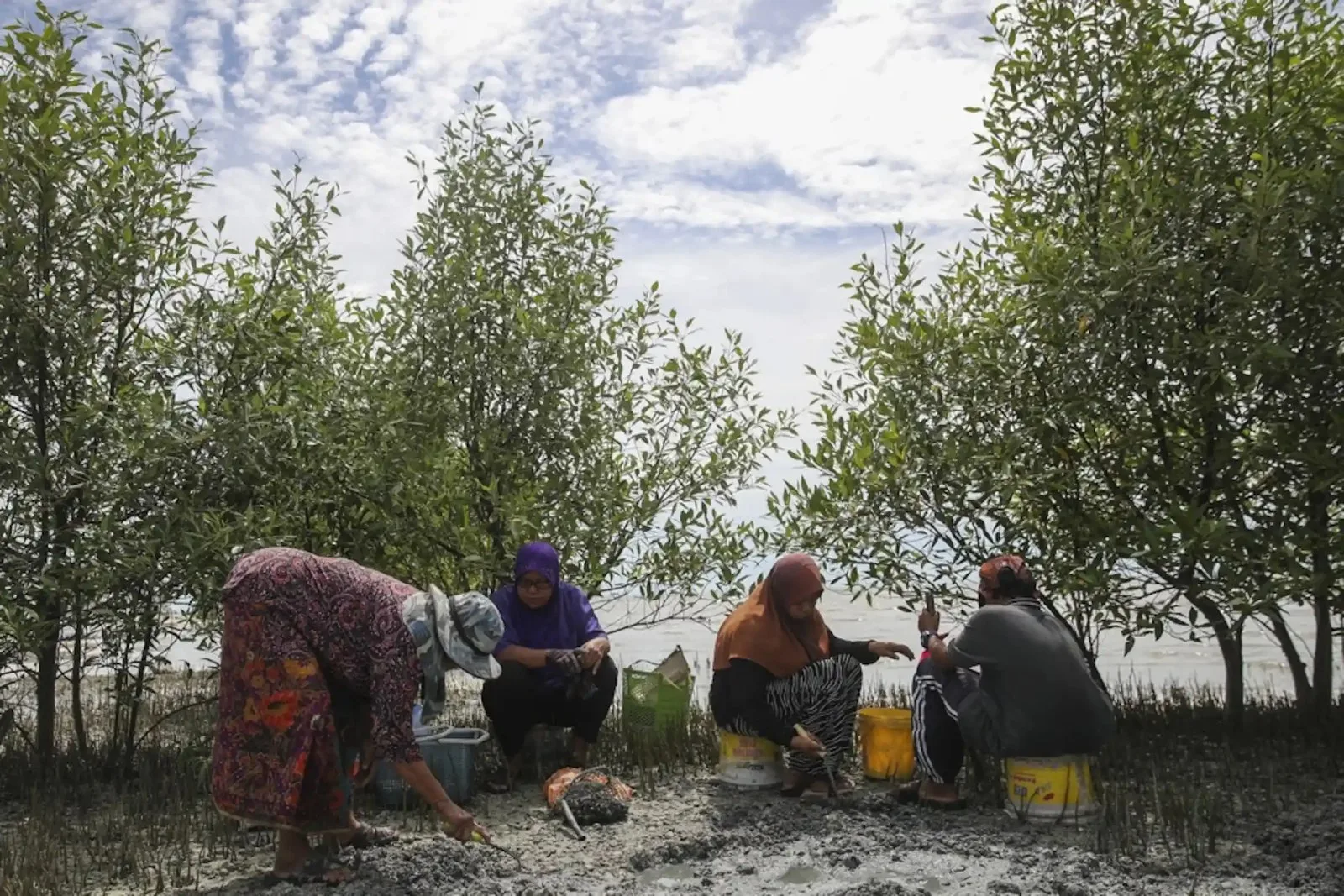 women in mangrove beach