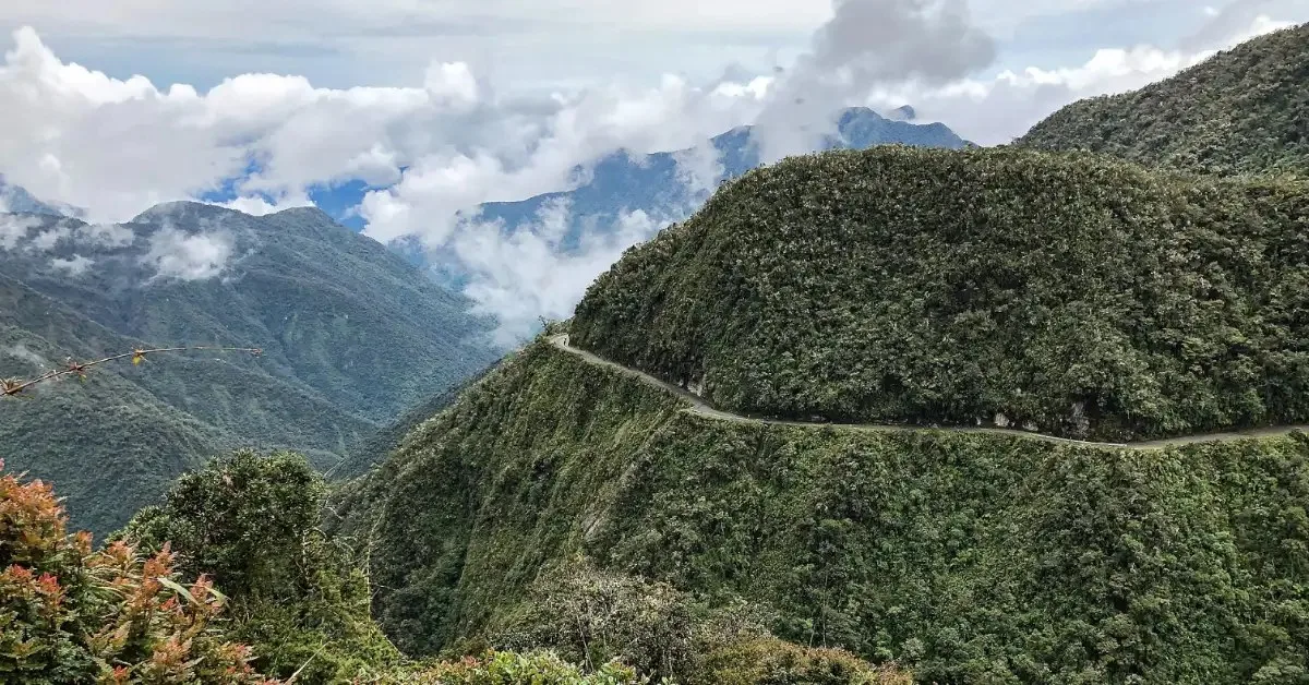Bolivie’de daha önce hiç görülmemiş ‘burushuk yüzlü’ yeni bir ked türü keşfetti