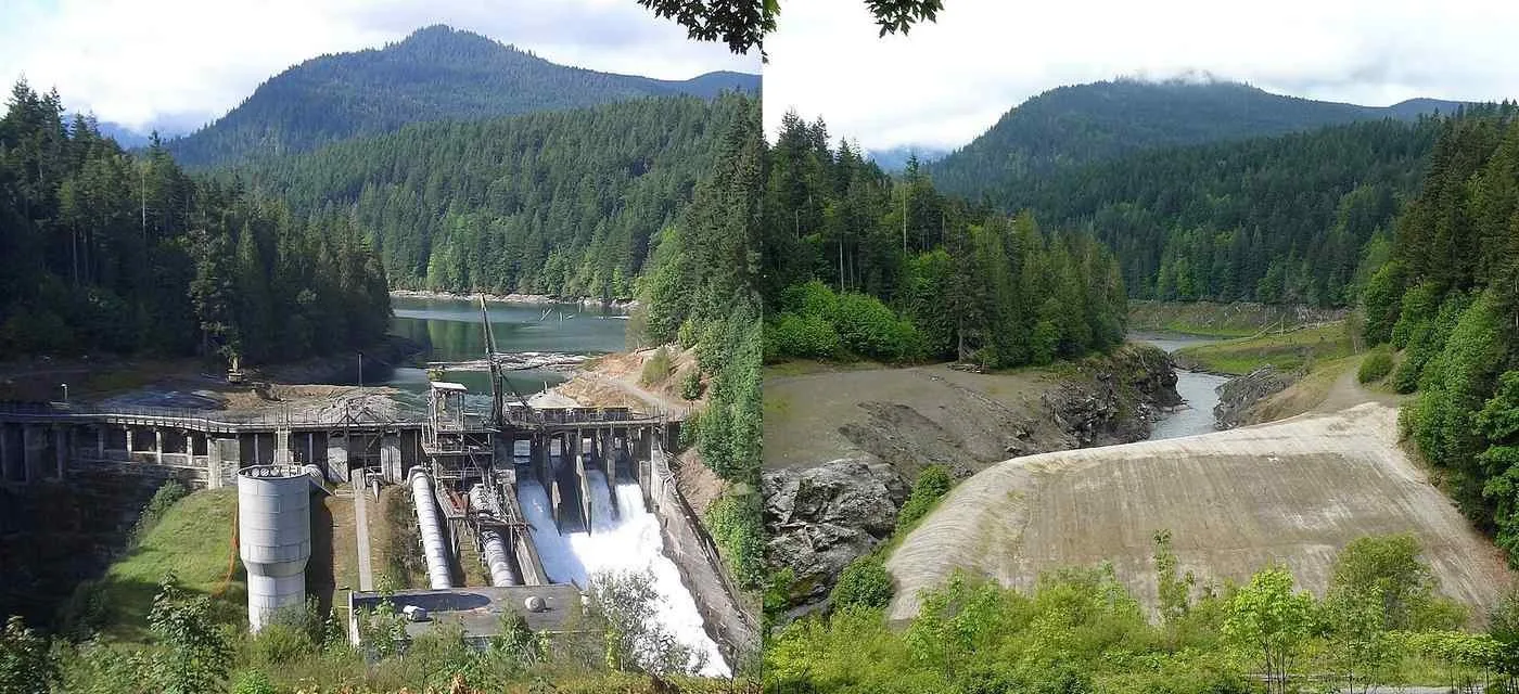 Washington’da Barajı Kaldırılan Elwha Nehri Boyunca Kabile, 1.100 Atalar Toprağını Geri Kazanmaya Bir İmza Uzağında