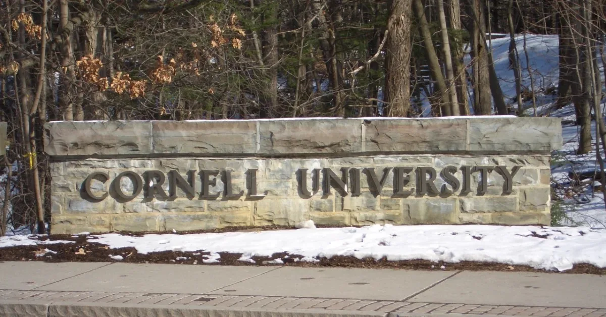 Cornell’de ‘Jane Doe’ Okulun Bıraktı; Öğrenci Konseyi Üyesi Başkalarının Aynı Kaderi Yaşamasını Engellemek İçin Bir Plan