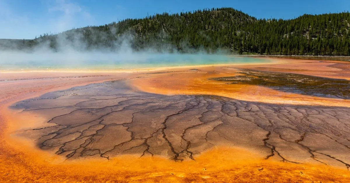 Yellowstone’da 20 Bin Çöp Parçası Temizlendi; En Sık Bulunan Şey, Ziyaretçilerin Kaybetmekten Nefret Ettiği Bir Öge Oldu: 