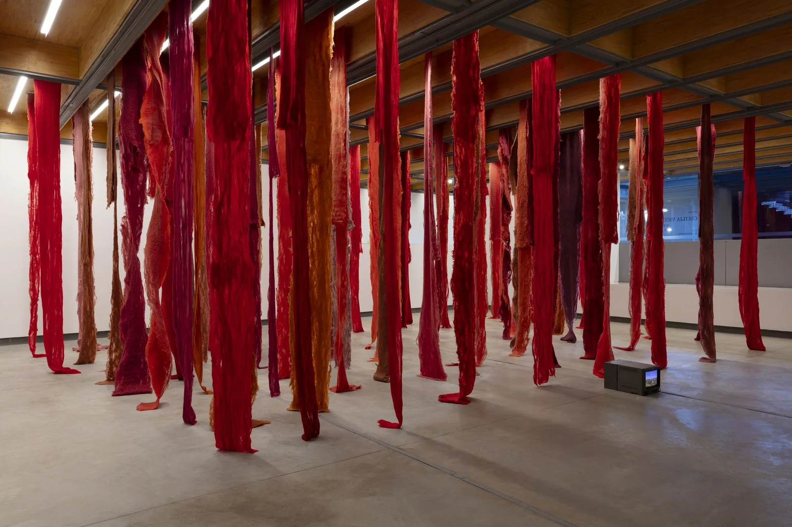 Cecilia Vicuña'nın ekofeminist vizyonu Londra'da: Whitechapel'de "Living Threads
