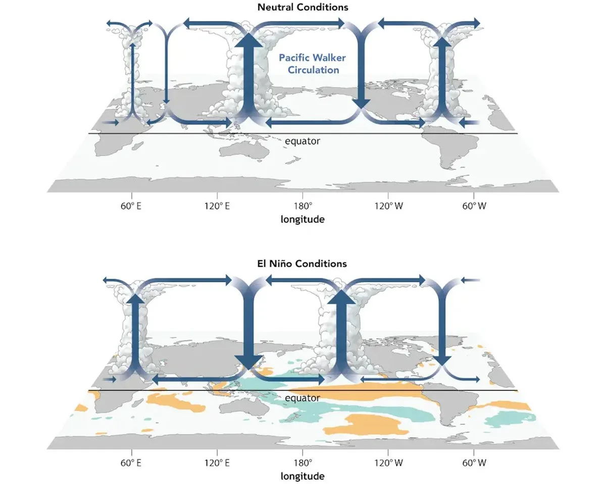 Two illustrations show how El Niño shorts the air circulation to create conditions less conducive to Atlantic hurricanes.