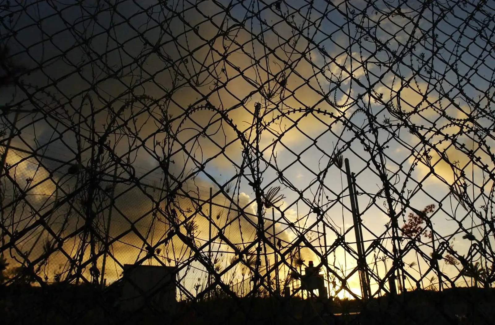 Razor wire around a detention centre