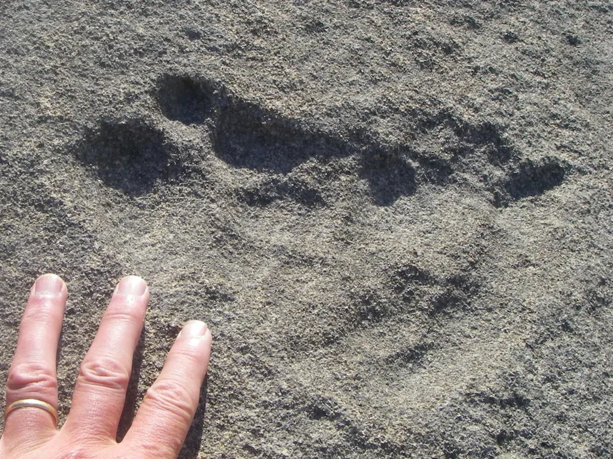 Fingers next to indentations in rock