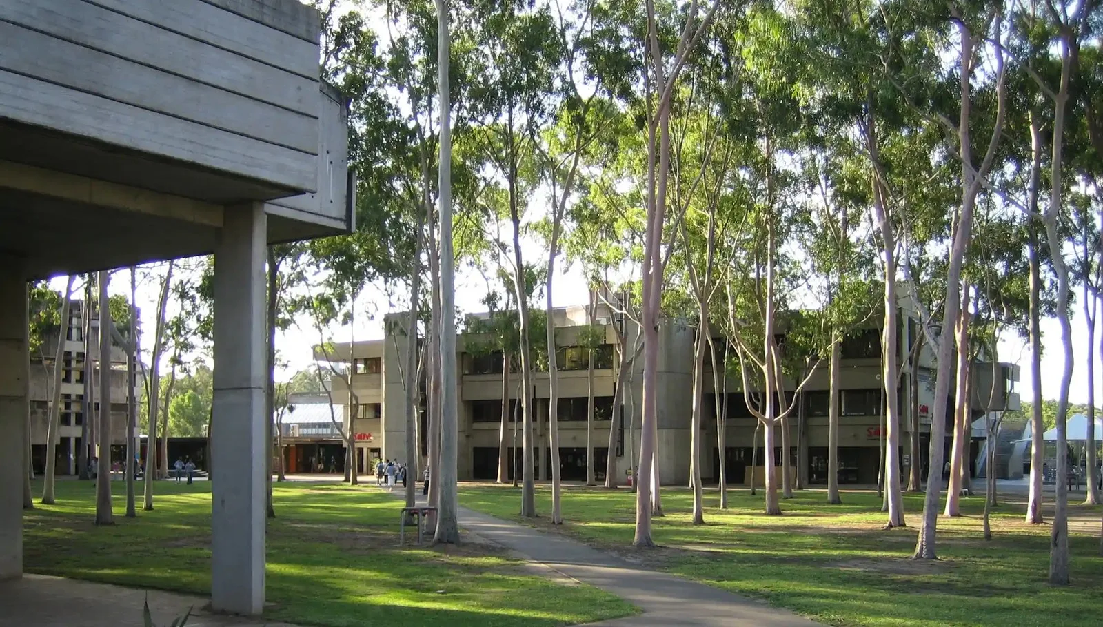 A green open space with gumtrees, surrounded by concrete buildings.