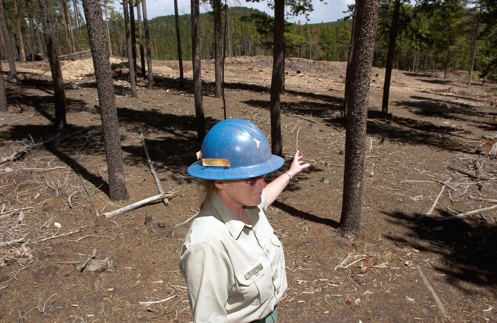 A Forest Service staff member points to an area of thinned trees amid a forest. All the trees are several feet apart, the forest floor is most clear of vegetation, and there is an open space.