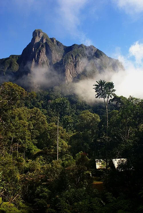 Camp Marojejia 01
