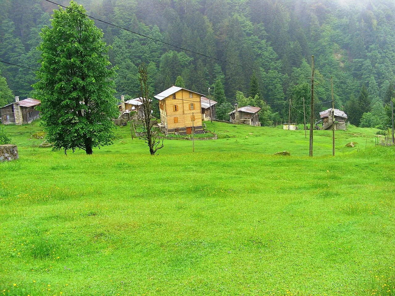 Ayder Yaylasi @ Rize-Turkey