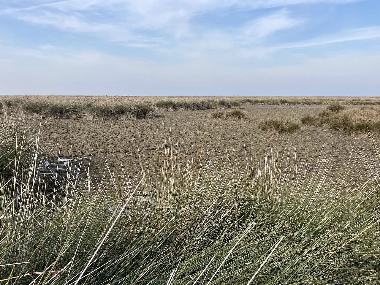 Kızılırmak Delta 2021 kuraklığı