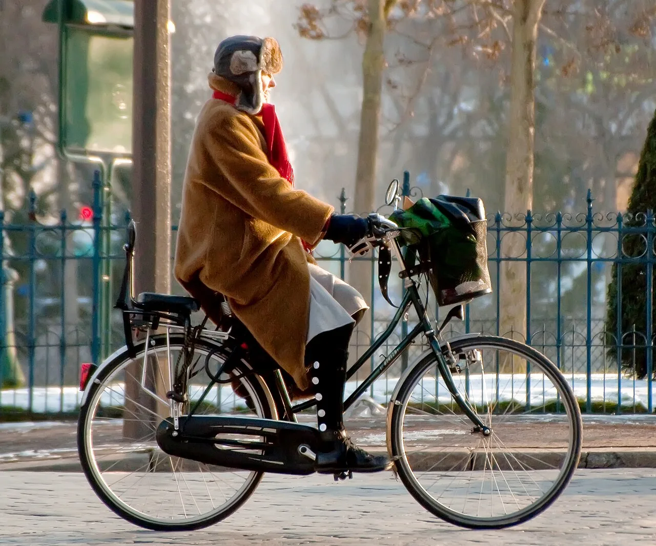 European city bike