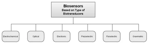 Classification of biosensors based on type of biotransducer