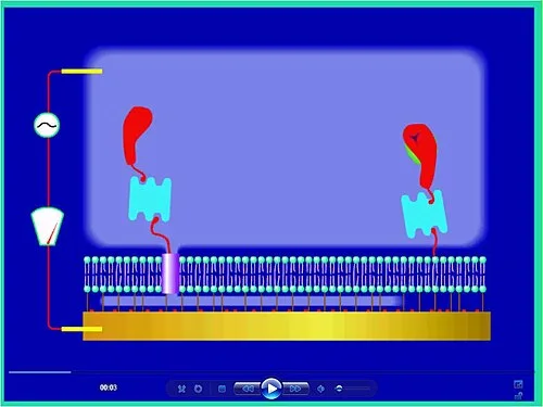 ICS – channel open