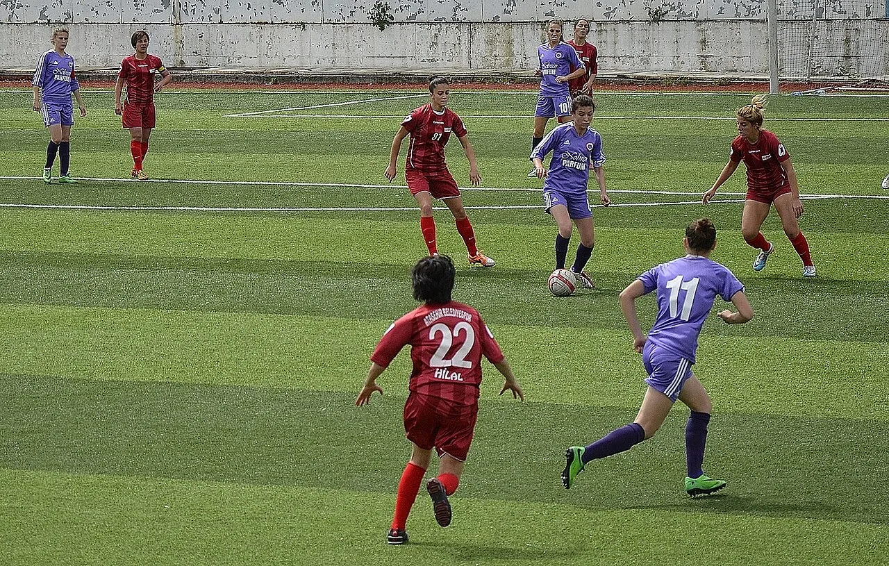 2013-14 sezonunda Kdz. Ereğlispor'un Ataşehir Belediyespor ile yaptığı bir deplasman maçı