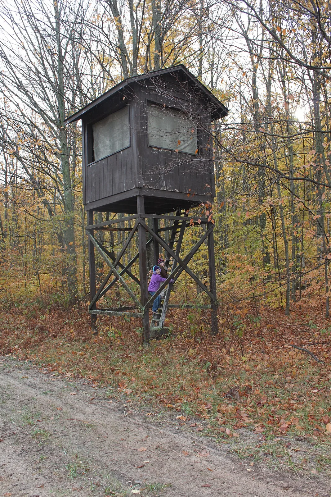Elevated "Box" type hunting blind