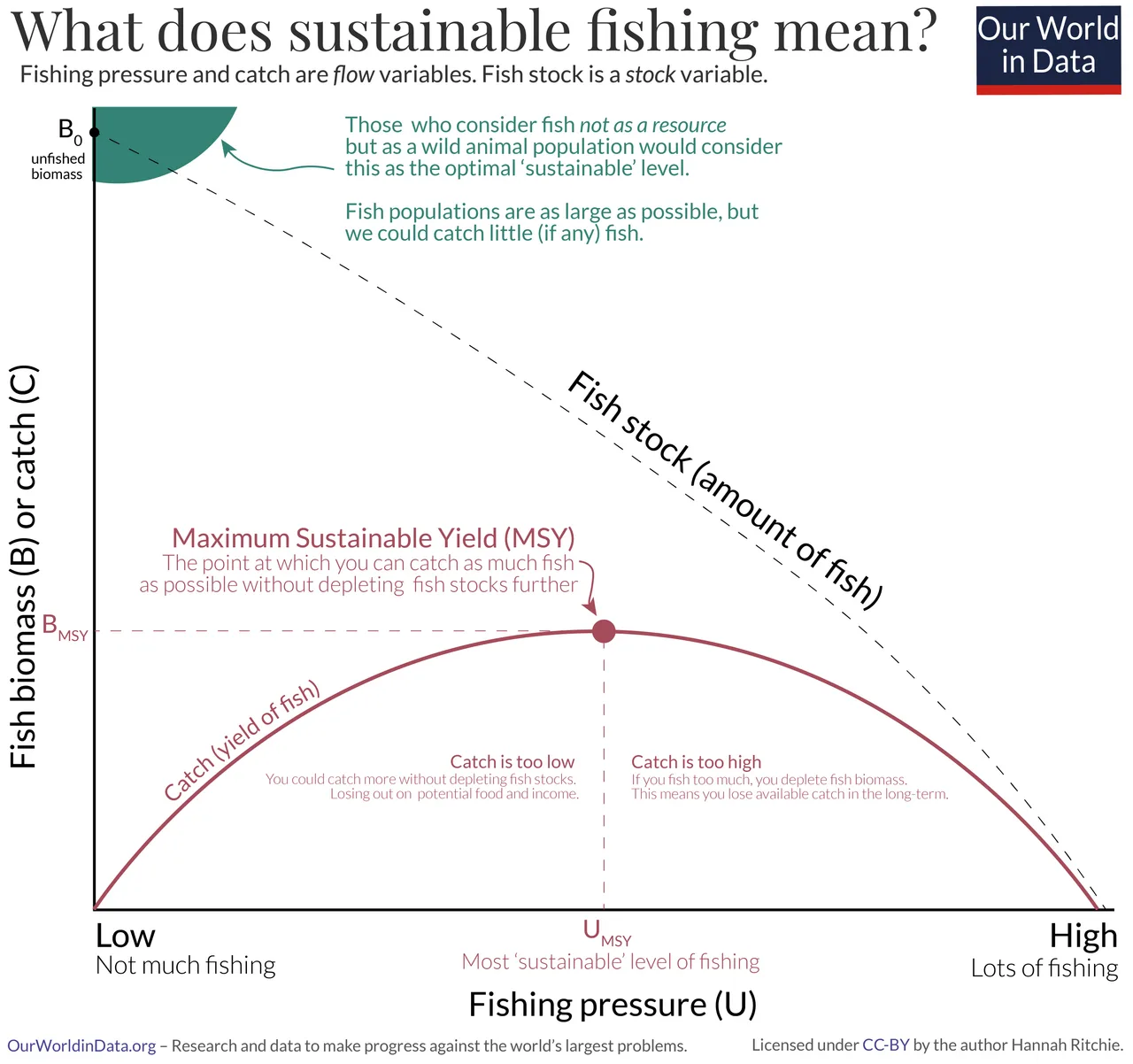 Sustainability can mean different things to different people. Some may view sustainable fishing to be catching very little in order for fish populations to return to their historical levels (represented by the upper left green area), while others consider sustainability to be the maximum amount of fish we can catch without depleting stocks any further (red dot). Most research, industry and policy backs the second view: viewing fish as a resource.[3]