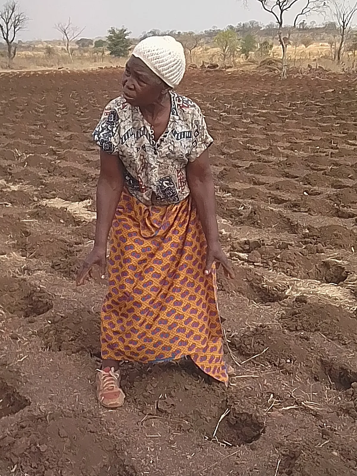Zambiya'da koruma tarımı.