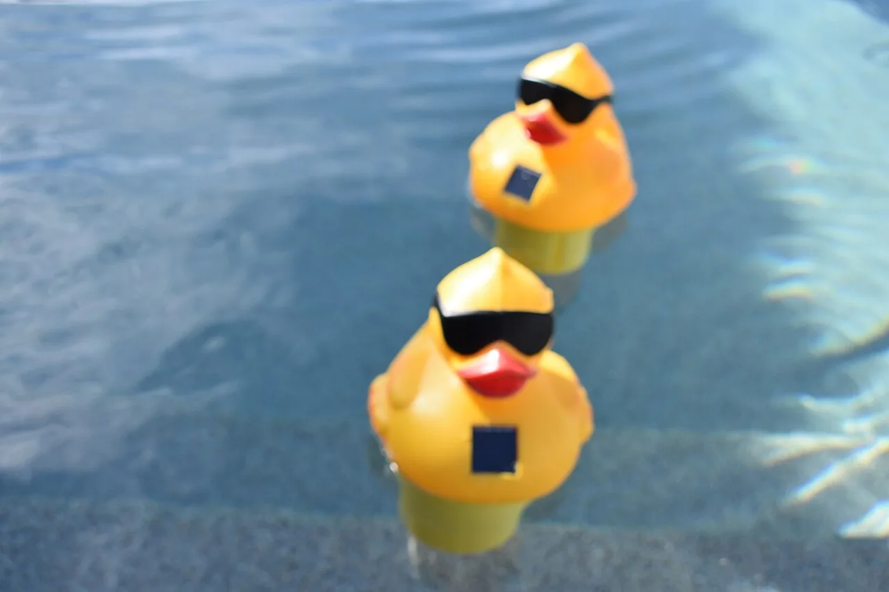 Chlorinators designed to resemble rubber ducks